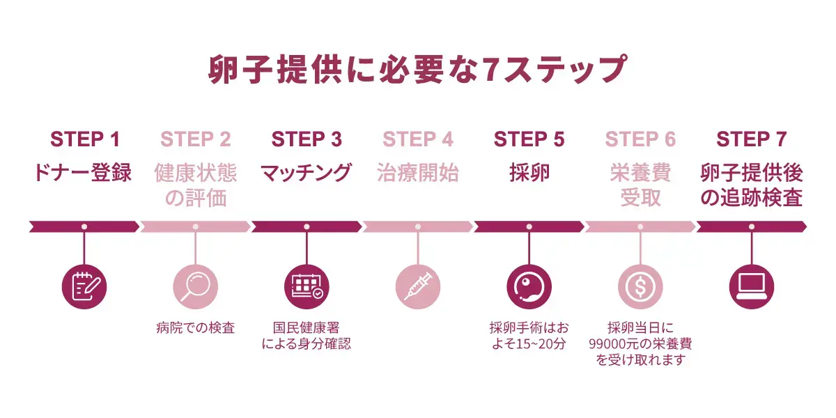 卵子提供に必要な7ステップ