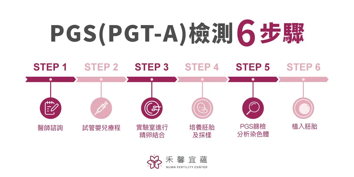 PGS（PGT-A）檢測6步驟