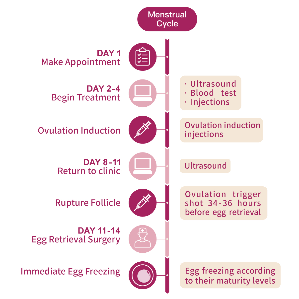 costs and procedures of egg freezing