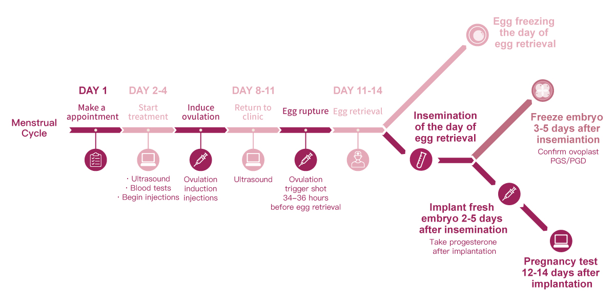 steps of ivf