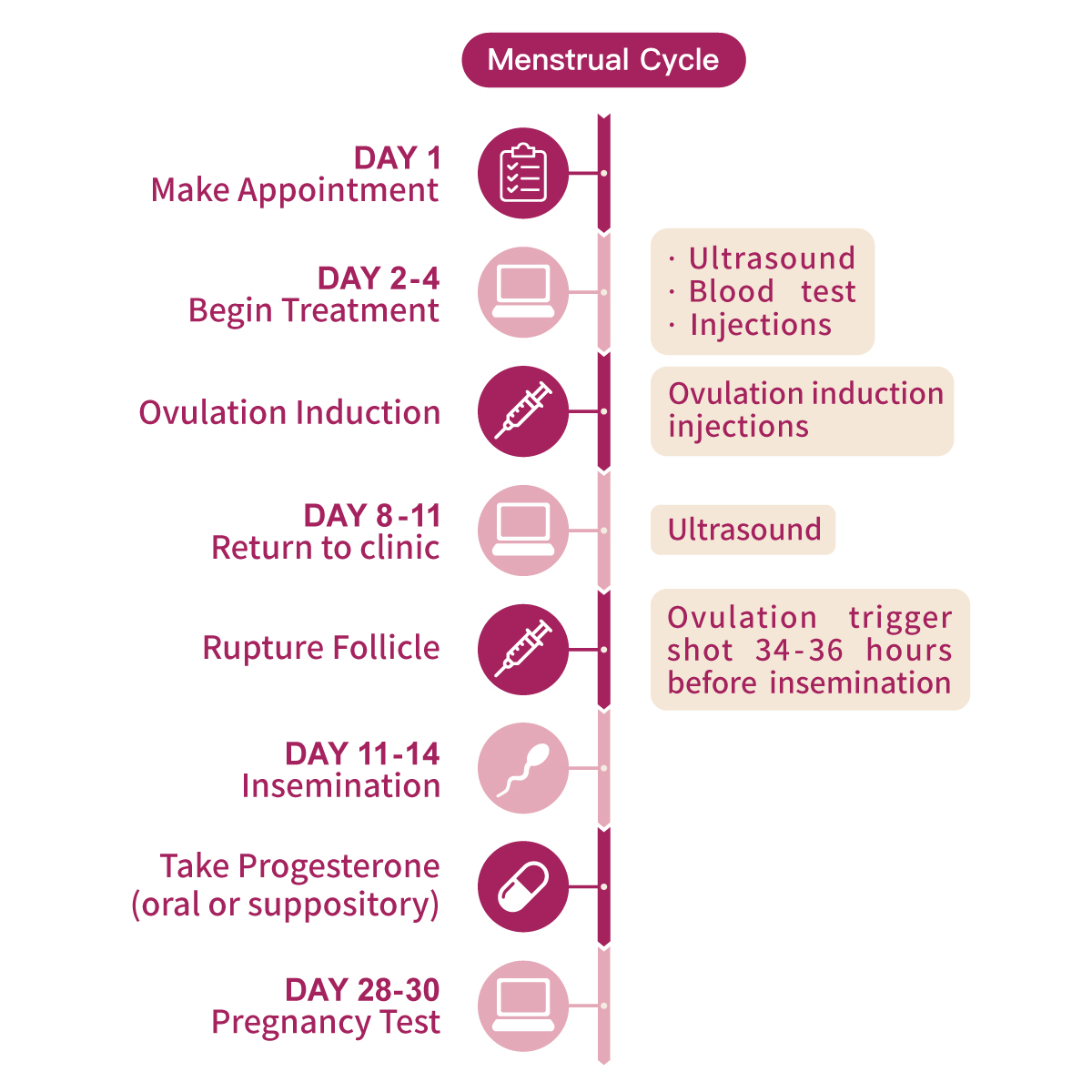 IUI steps