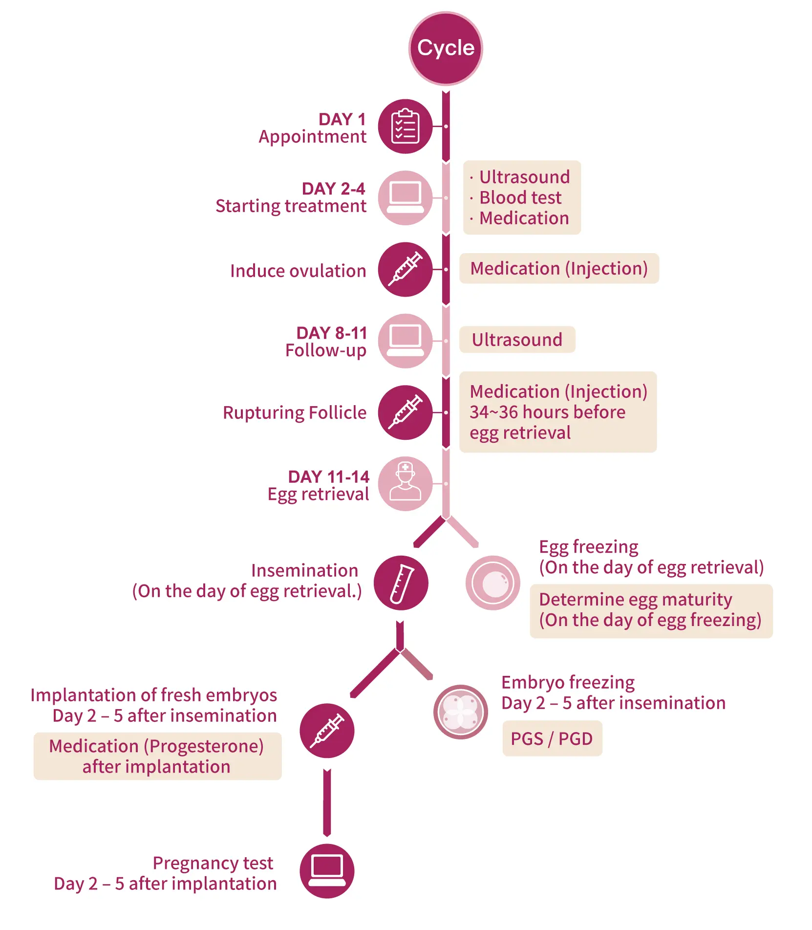 IVF process