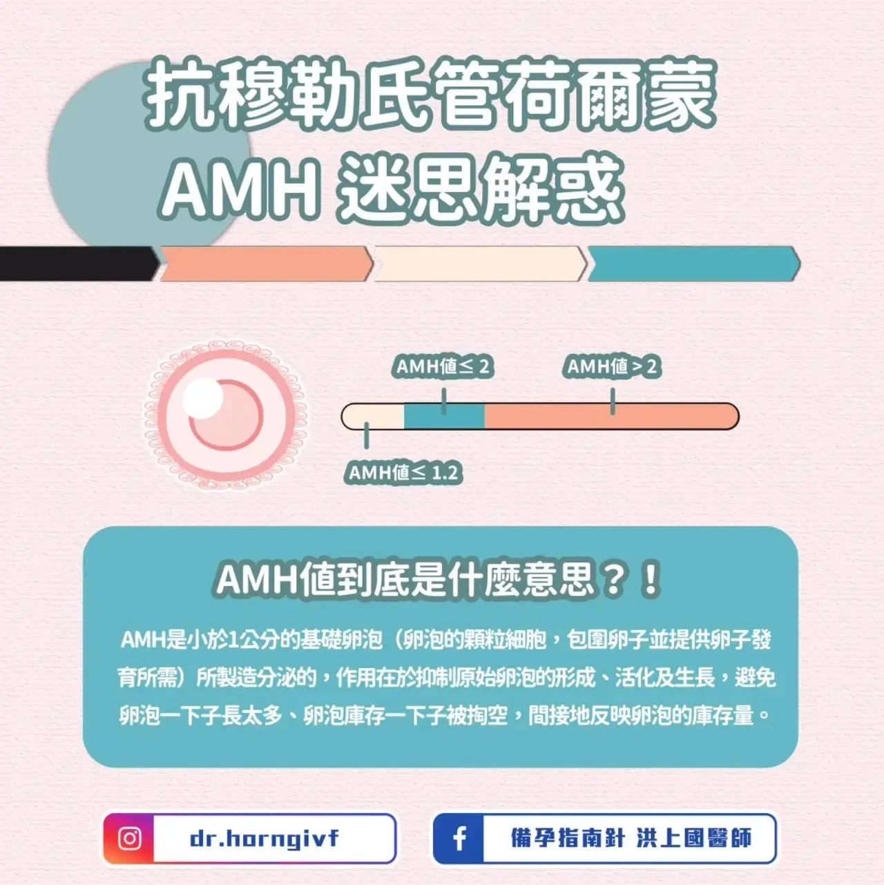 抗穆勒氏管荷爾蒙 AMH迷思解惑