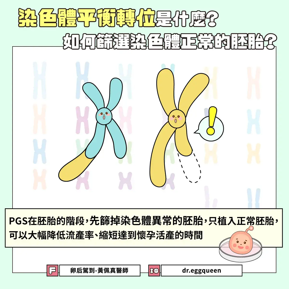 染色體平衡轉位是什麼？如何篩選染色體正常的胚胎？
