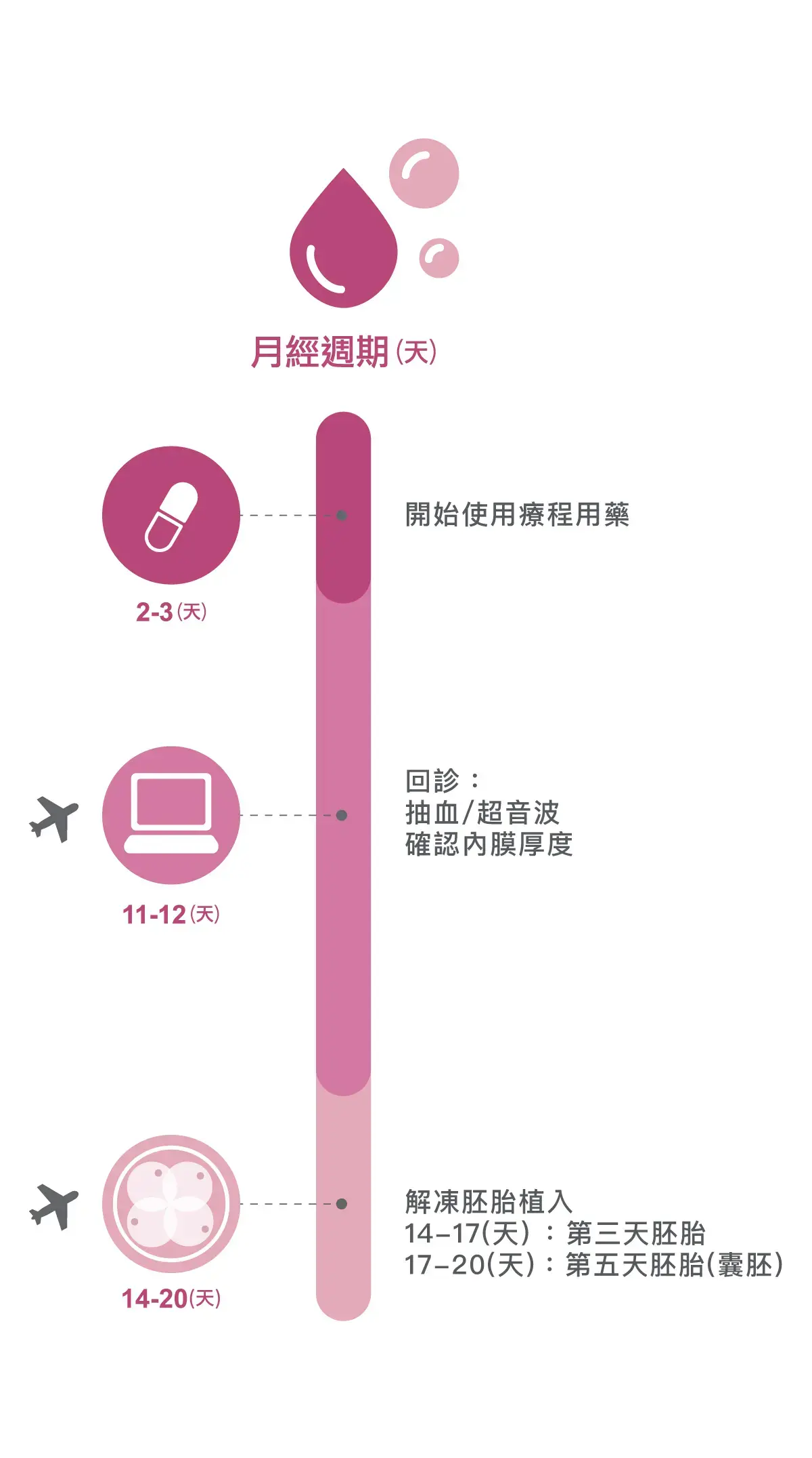 解凍胚胎植入的流程