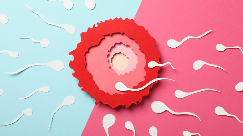 Preimplantation Genetic Screening, or PGS, has changed its name to Preimplantation Genetic Testing for Aneuploidies, or PGT-A in short.