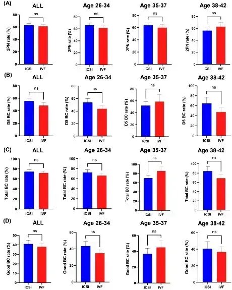 This study aimed to provide clarity by analyzing sibling oocytes from the same patient cohort, dividing them into two groups—one fertilized using conventional IVF, and the other using ICSI—to compare embryonic development outcomes.