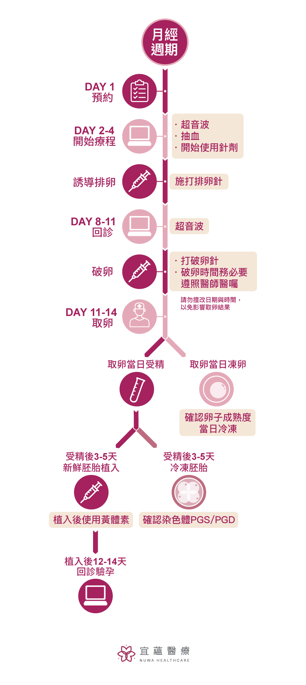 宜蘊試管嬰兒流程解析