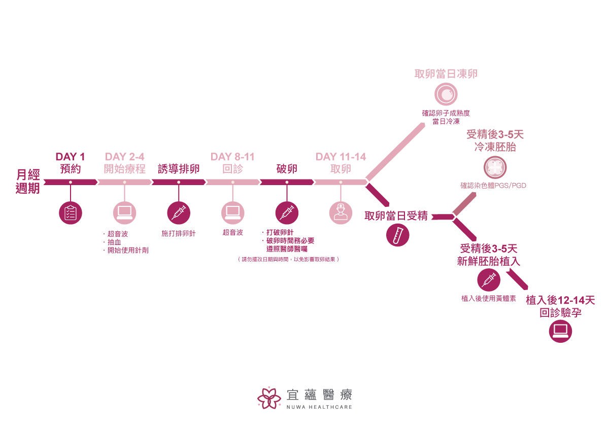 試管嬰兒5大流程總整理｜從療程開始到驗孕的全紀錄