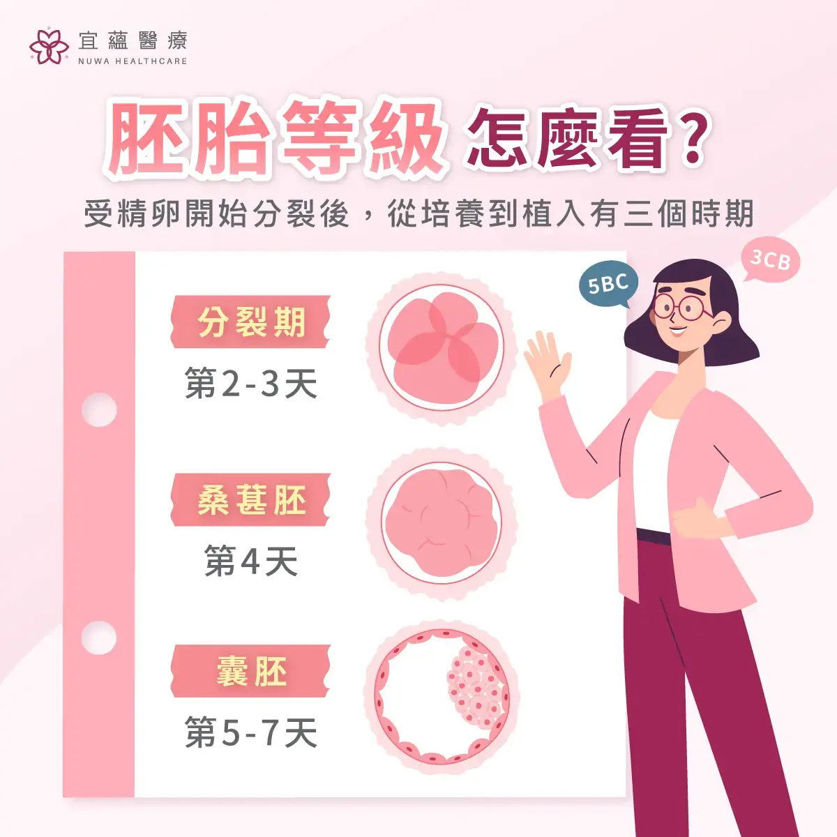 宜蘊醫療教你怎麼看胚胎等級