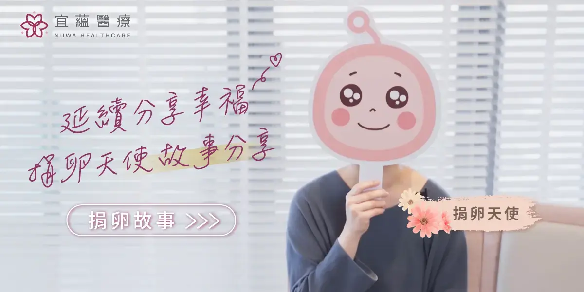 捐卵天使的故事分享