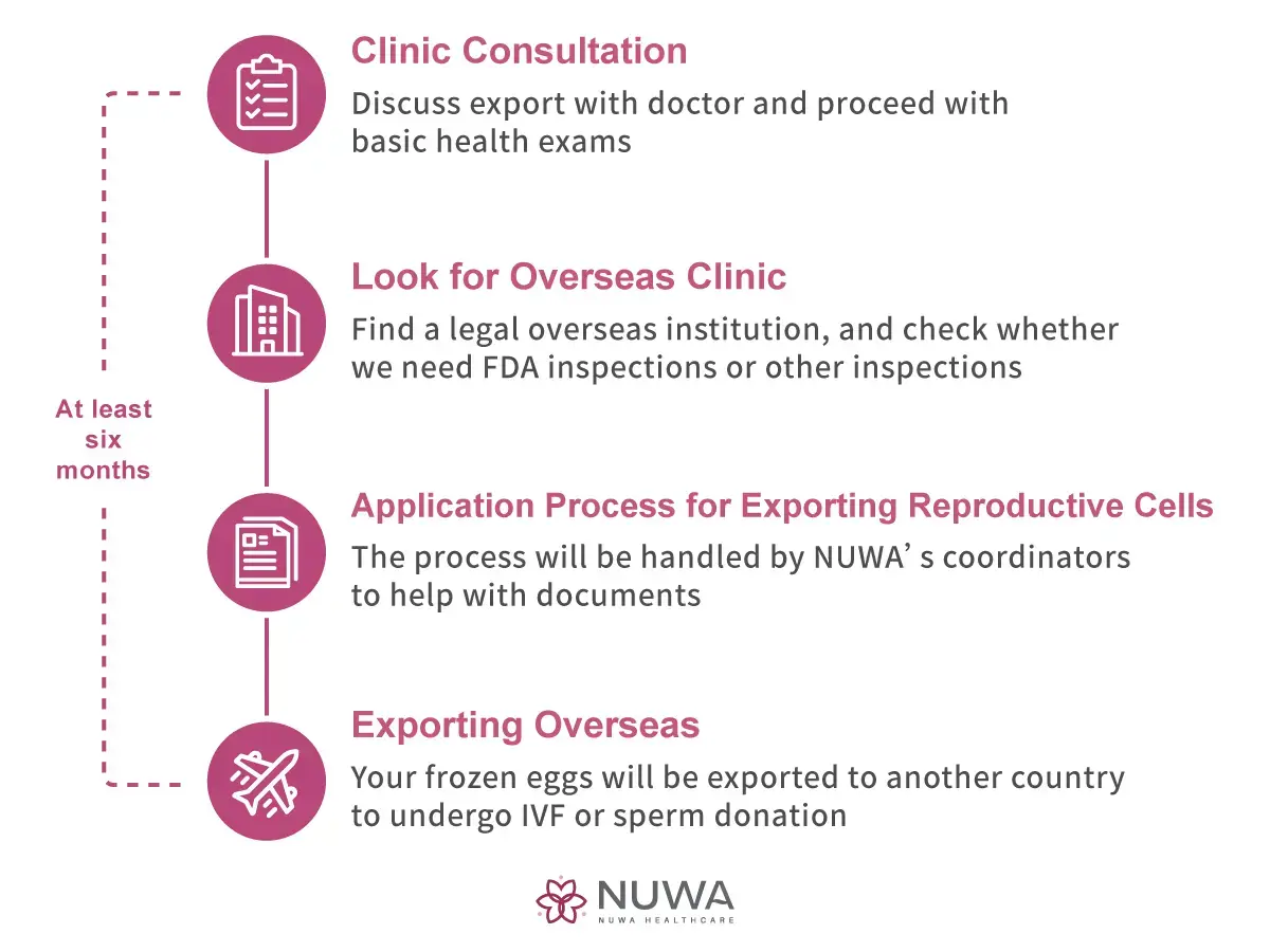 Overseas egg export consultation for international fertility patients