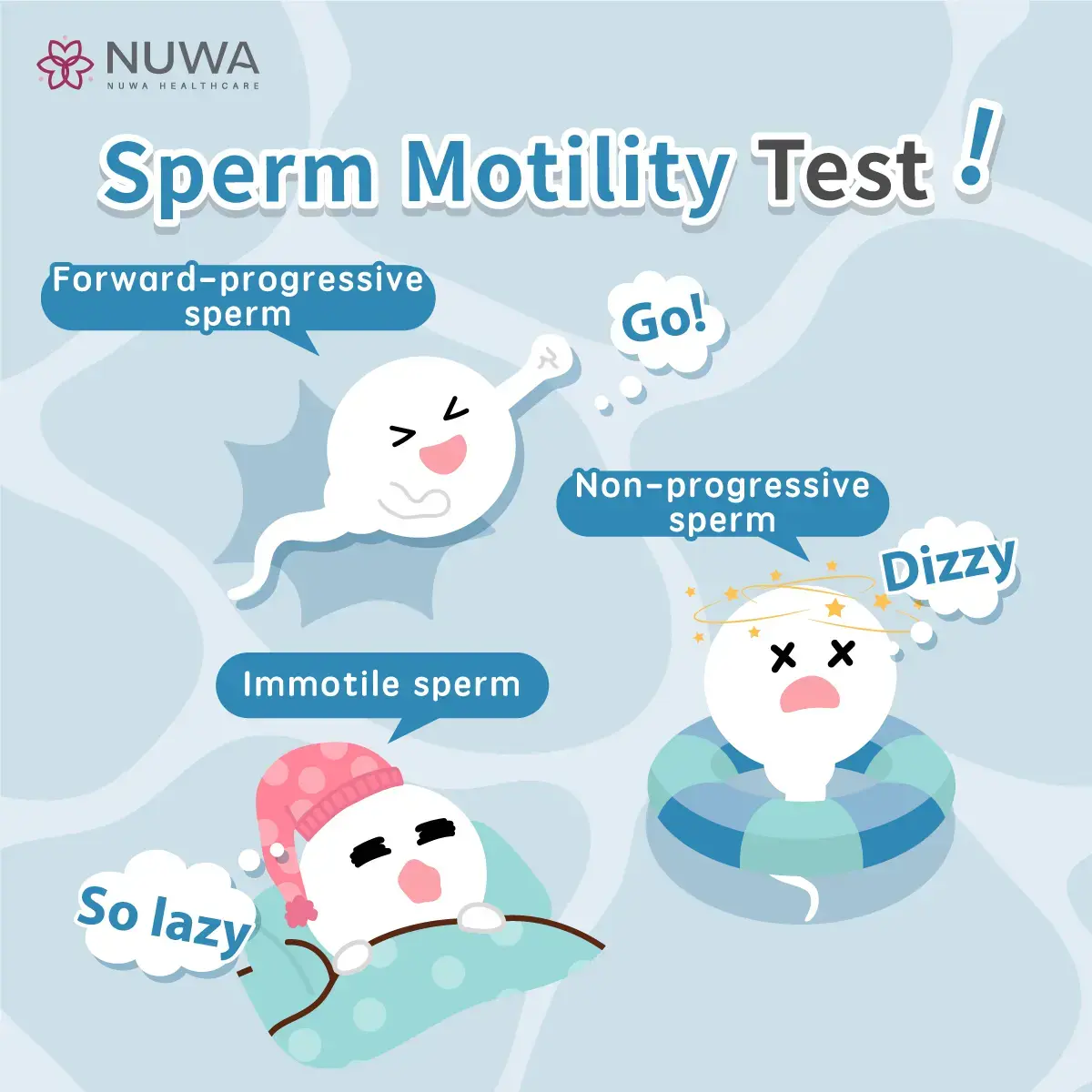 Sperm Morphology
