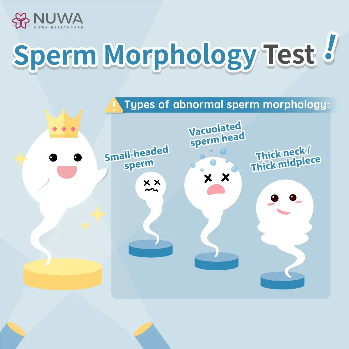 Sperm Motility