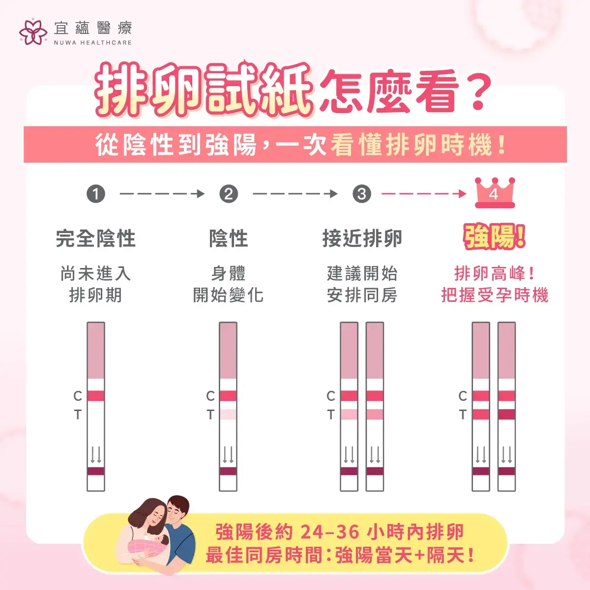 排卵試紙怎麼看？從陰性到強陽，一次看懂排卵時機！
