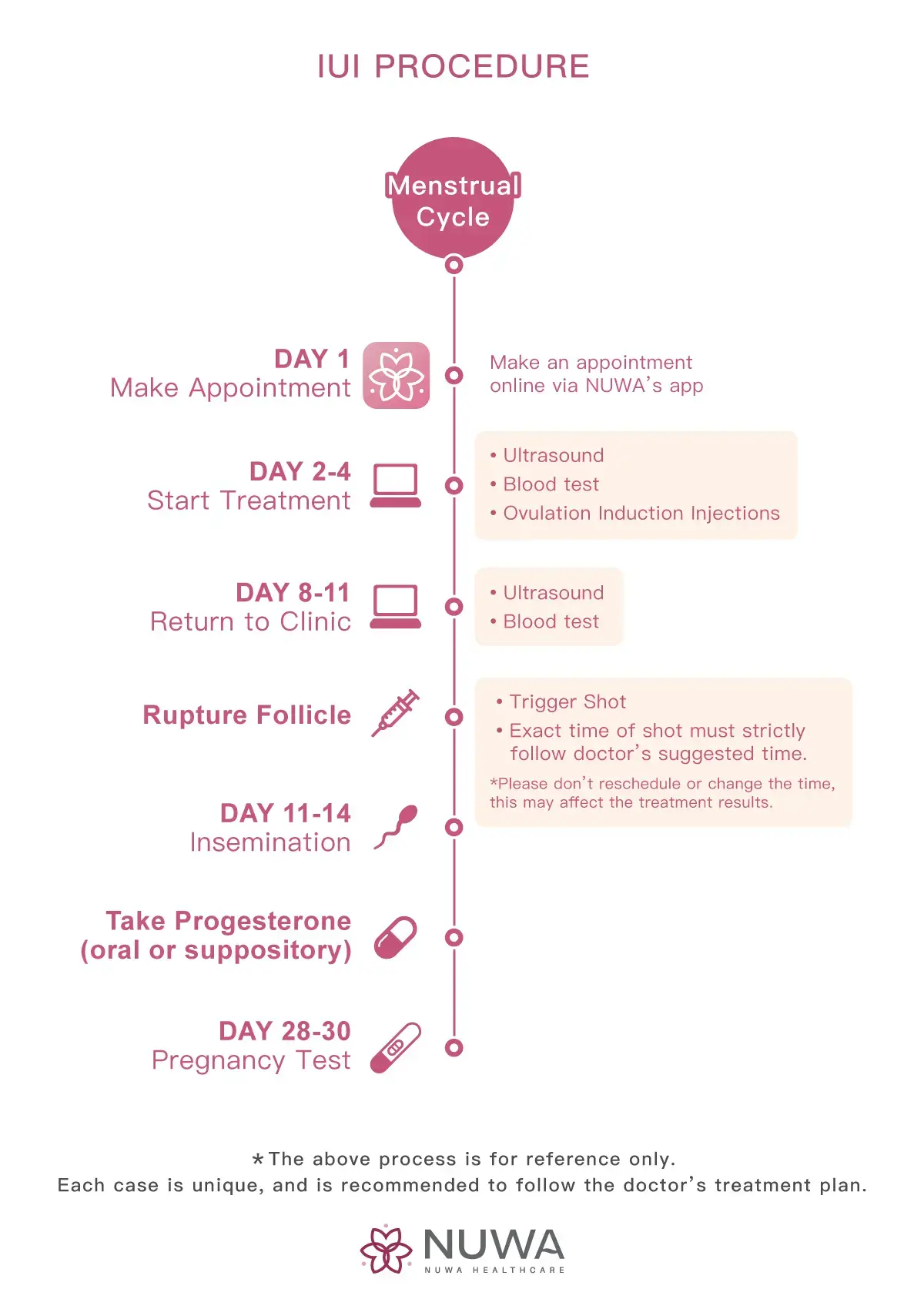 IUI Process