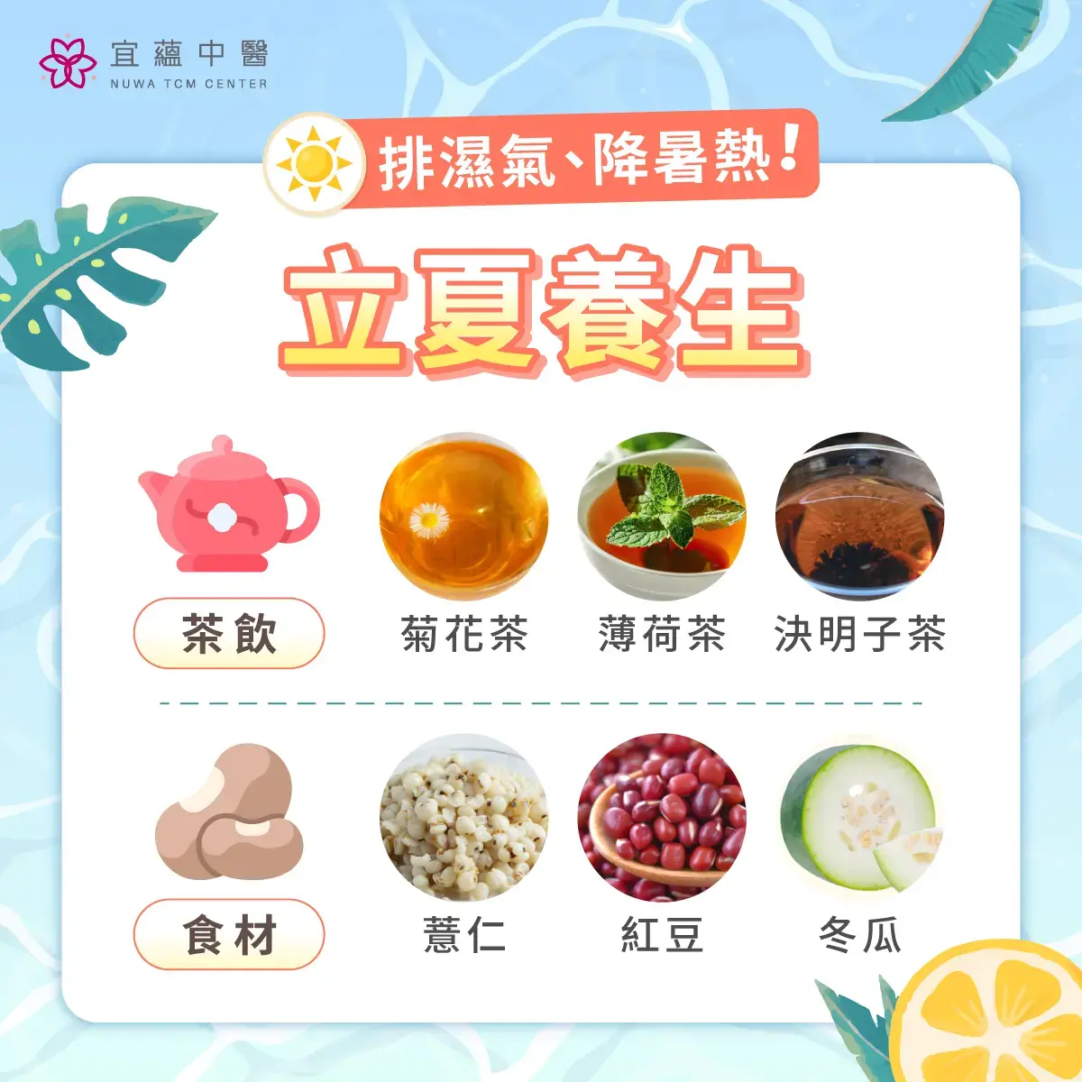 立夏養生推薦茶飲與去濕食物（菊花茶、薄荷茶、決明子茶、薏仁、紅豆、冬瓜）